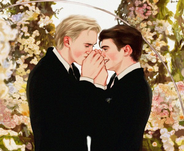 Драко и Гарри свадьба