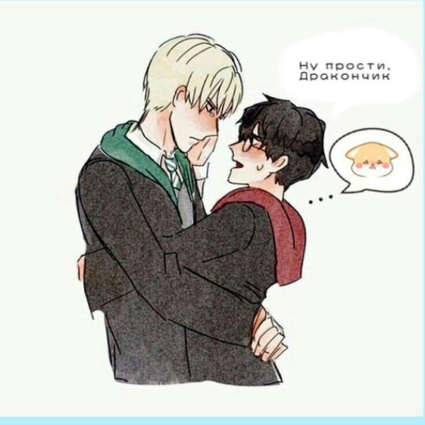 Шипп драрри