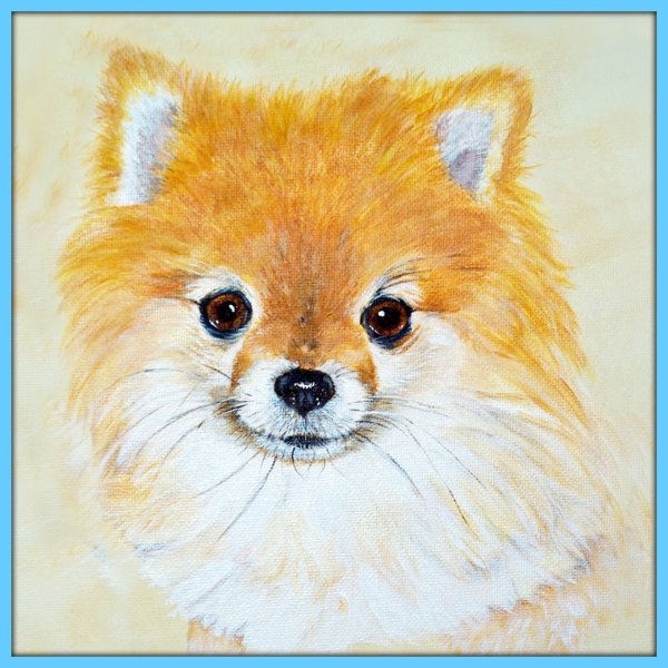 Шпиц рисунок