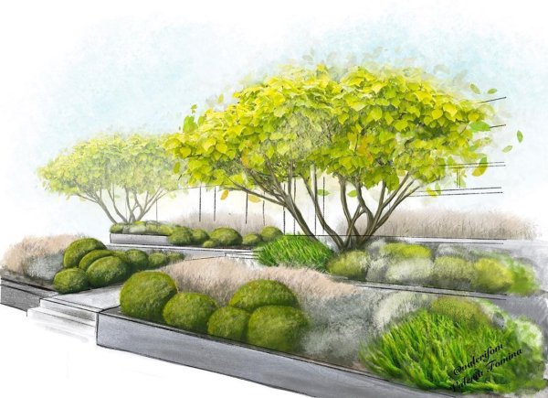 Ландшафтный скетчинг