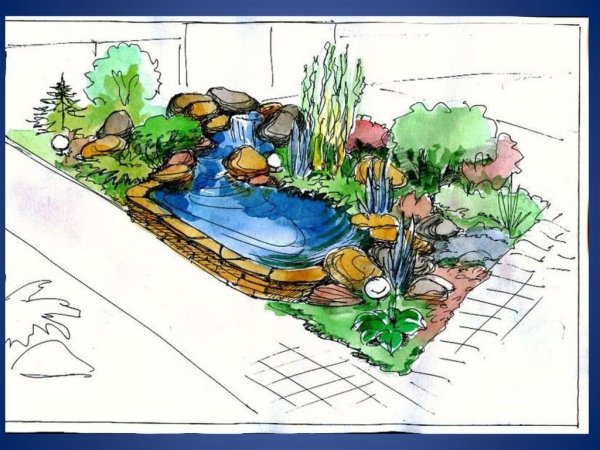 План участка с водоемом