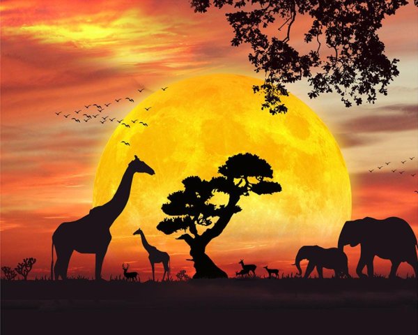 Африканский пейзаж