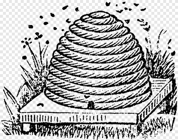 Улей черно белый