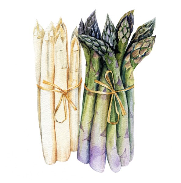 Артишок и спаржа