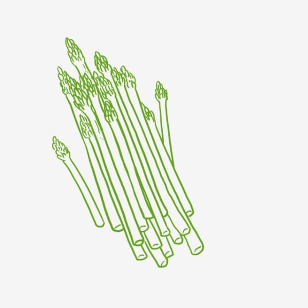 Спаржа иконка