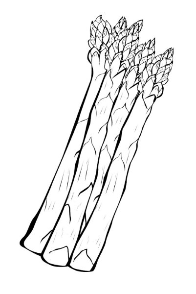 Спаржа раскраска для детей