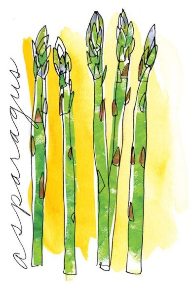 Спаржа акварель