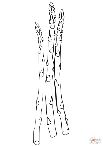 Спаржа вектор