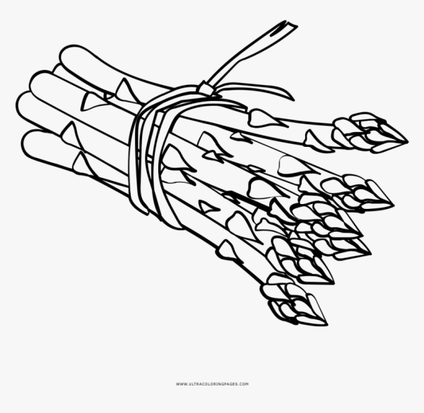 Спаржа карандашом