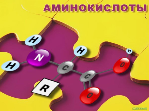 Аминокислоты картинки
