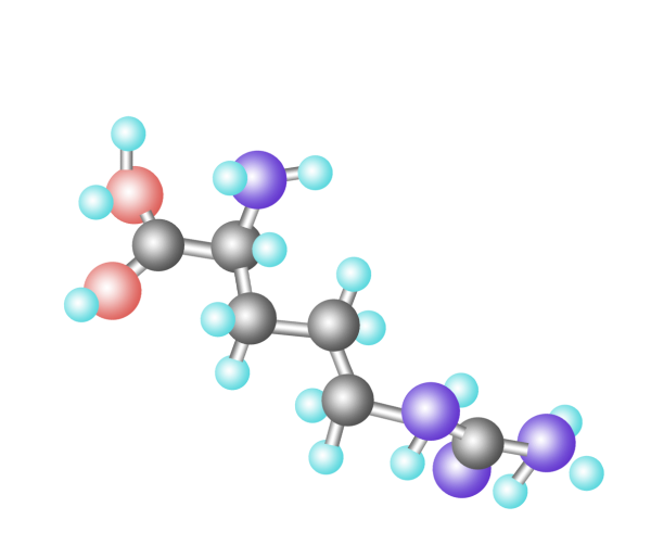 Аминокислоты клипарт