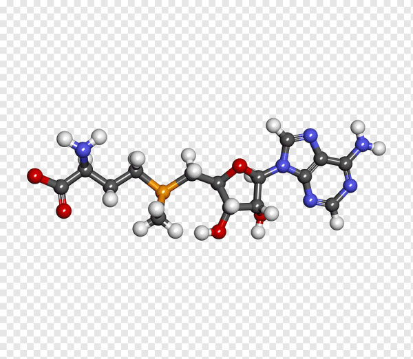 Кератин молекула
