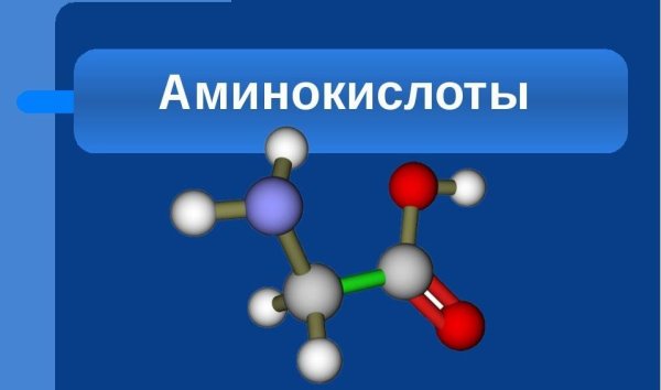 Аминокислоты картинки