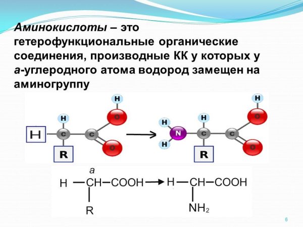 Строение основных аминокислот