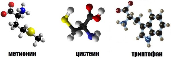 Метионин и цистеин формула