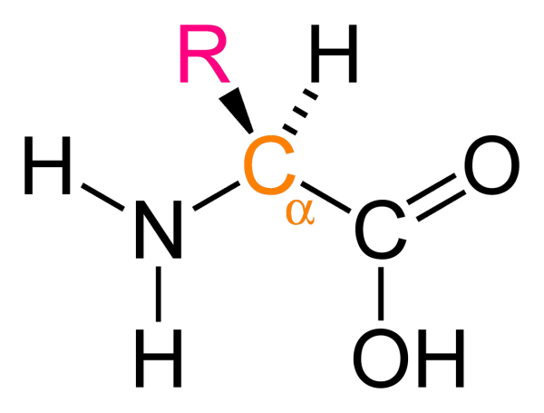 Аминокислоты это