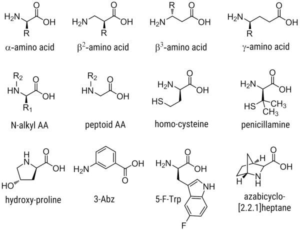Amino кислоты