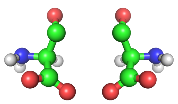 Аминокислоты схематично
