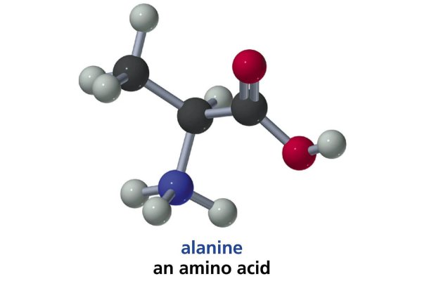 Бета аланин формула