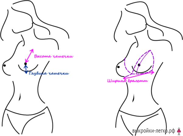 Размеры женской груди
