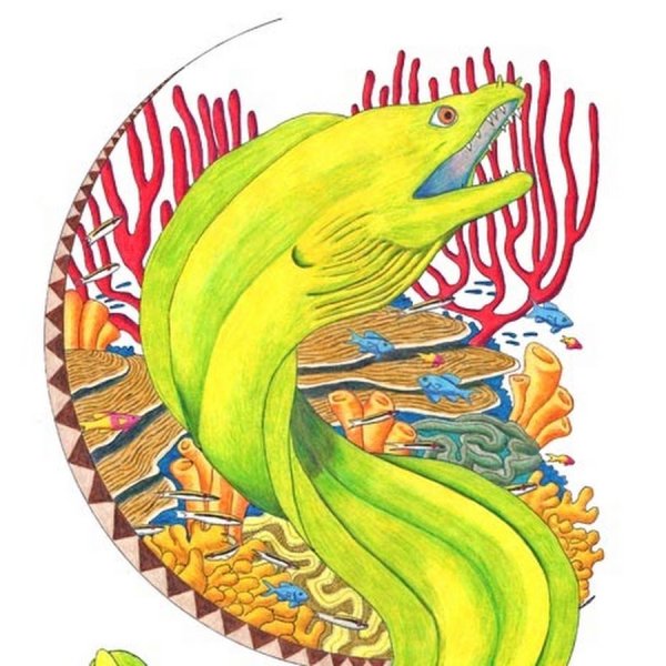 Мурена иллюстрация