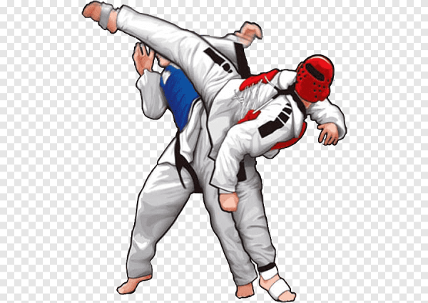 Каратэ силуэт