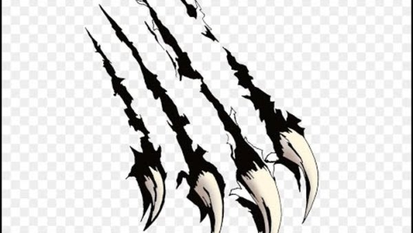 Когти медведя вектор