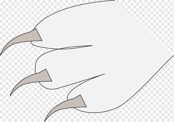 Когти раскраска для детей