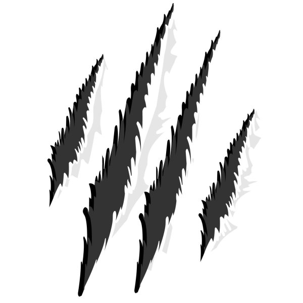 Царапины от когтей медведя