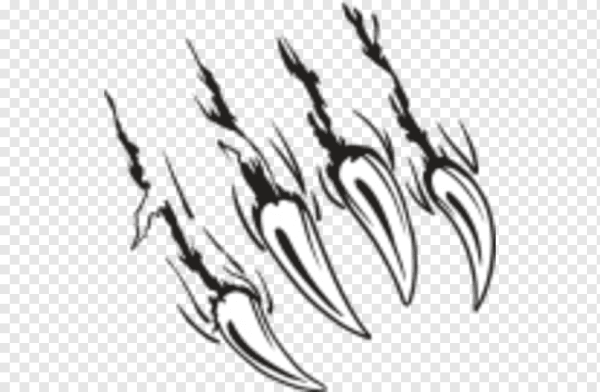 Следы когтей вектор