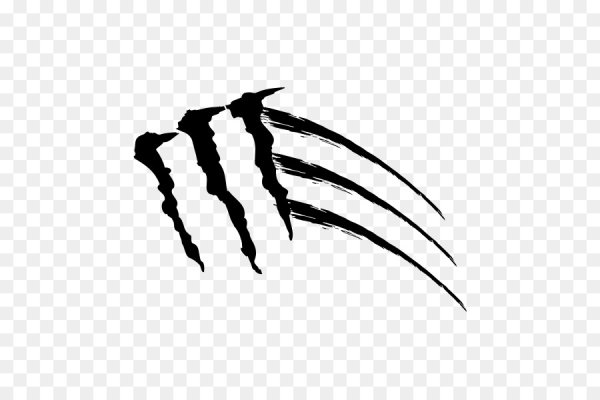 Когти на черном фоне