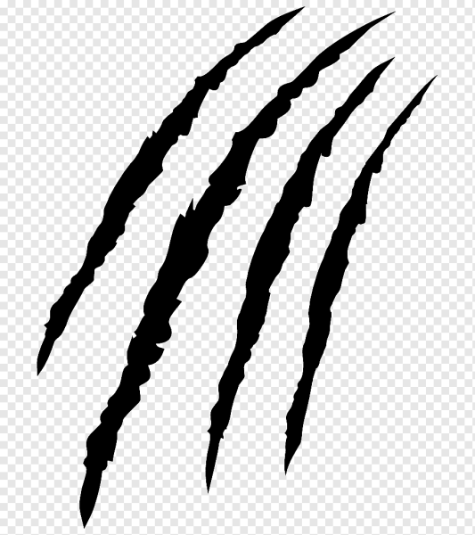 Следы когтей вектор