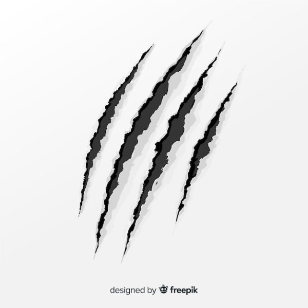 Следы когтей