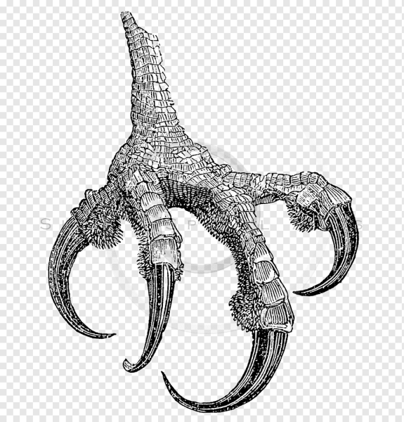 Клешня-коготь Claw