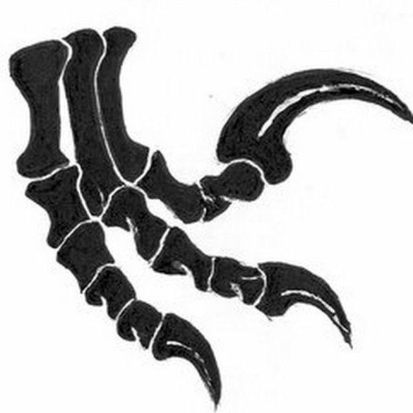 Коготь раптора