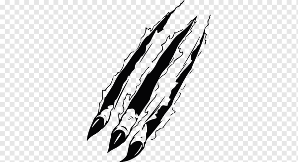 Порезы от когтей вектор