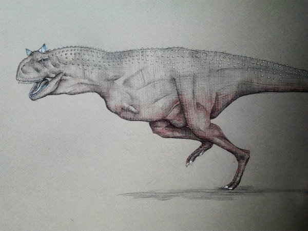 Карнотавр карандашом