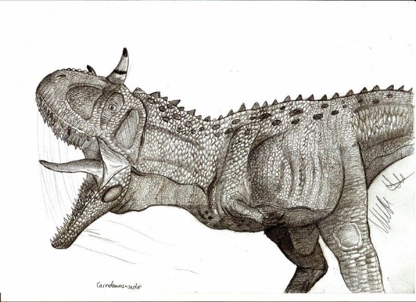 Карнотавр анфас