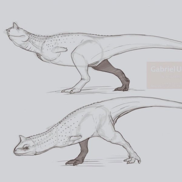 Карнотавр референс