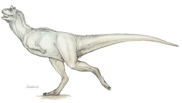 Карнотавр адопт