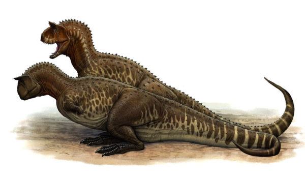 Carnotaurus sastrei