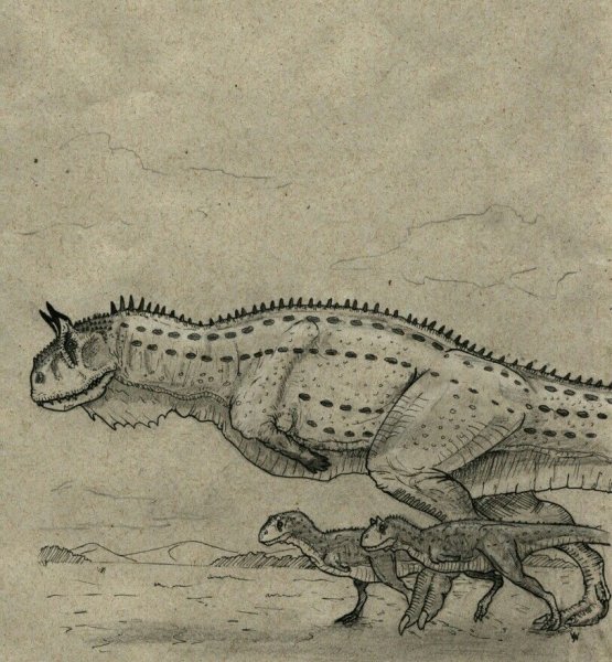 Карнотавр динозавр рисунок