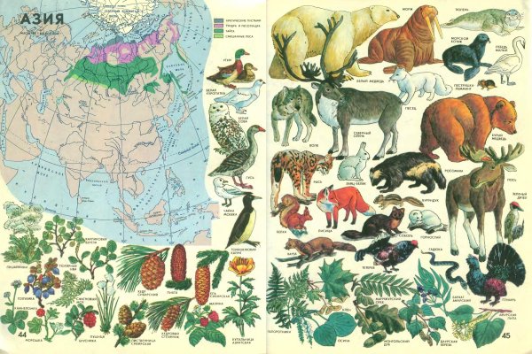 Атлас мир и человек Африка
