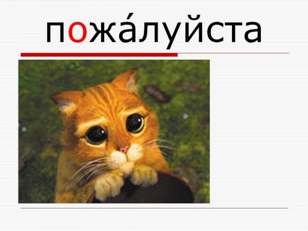 Пожалуйста картинки