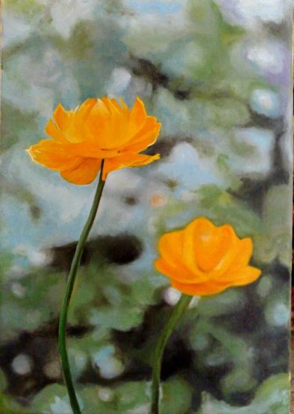 Купальницы картина