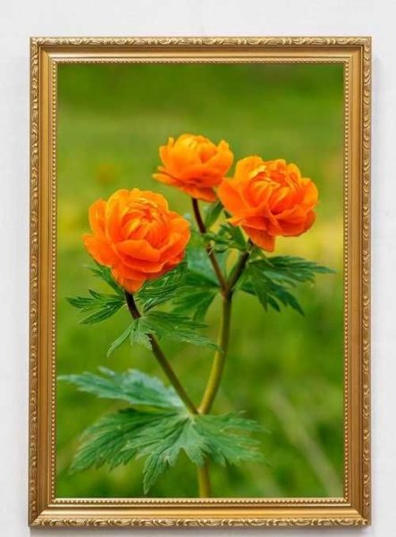 Картины с жарками