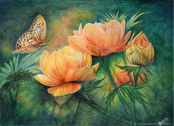 Жарки в живописи