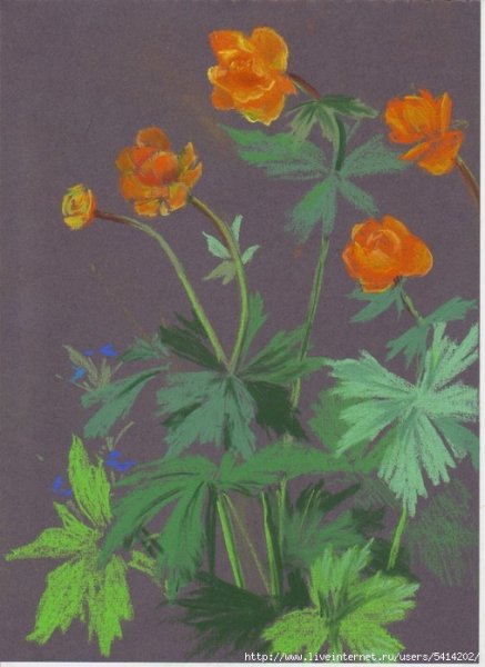 Рисование жарки