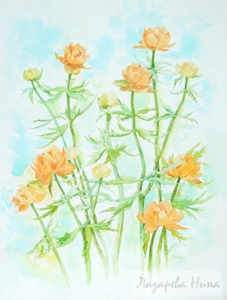 Жарки цветы живопись