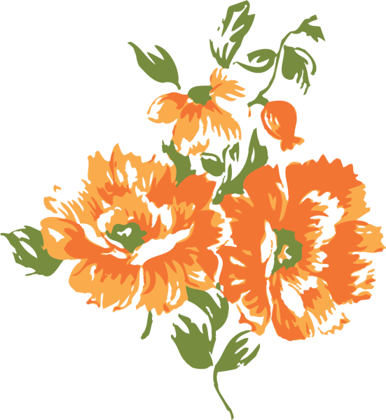 Огоньки цветы